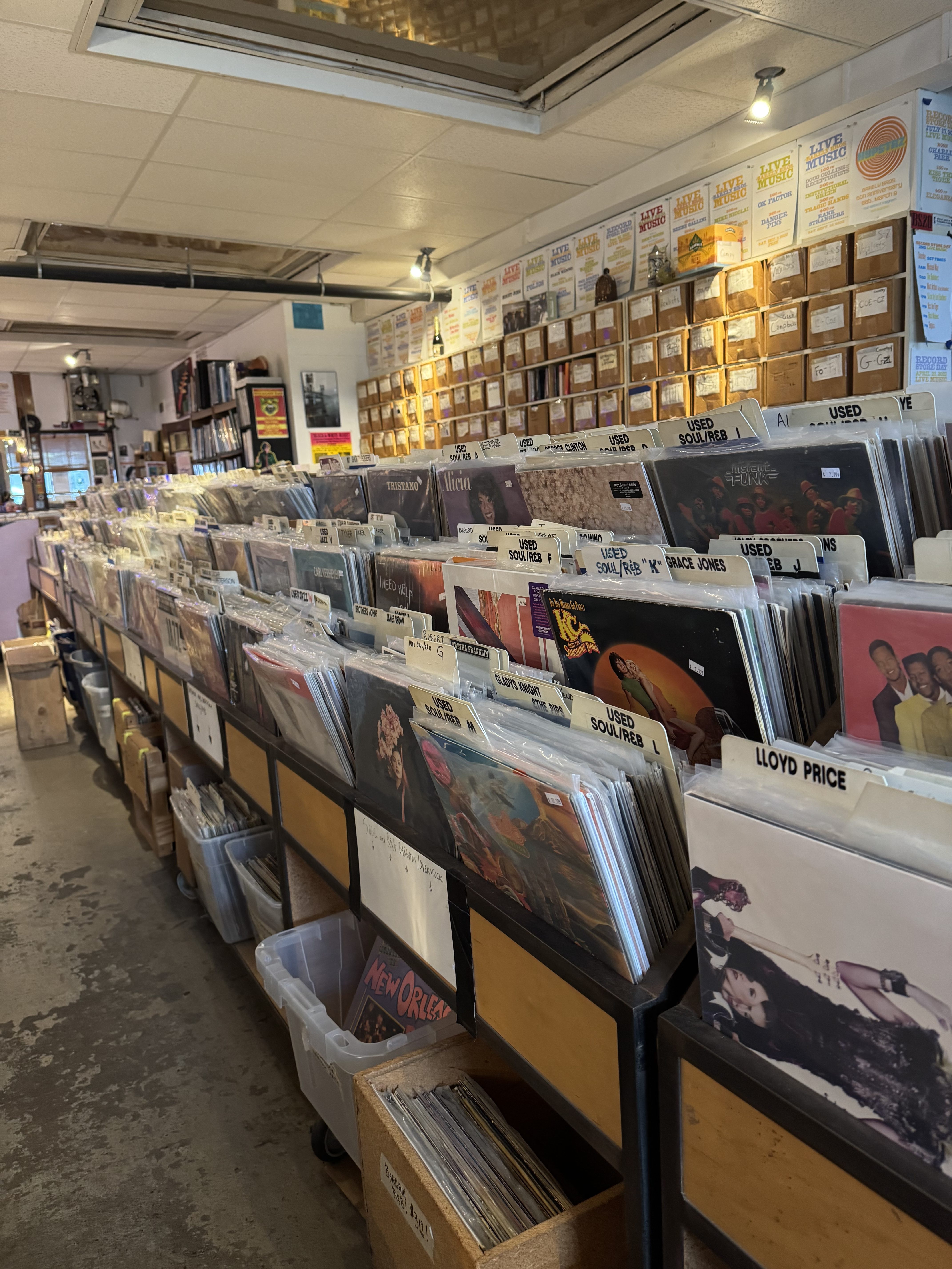 Welcome to the Dead Zone: Where Connection Lives Beyond the Signal